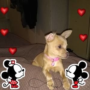 Meet your Posher, Gail